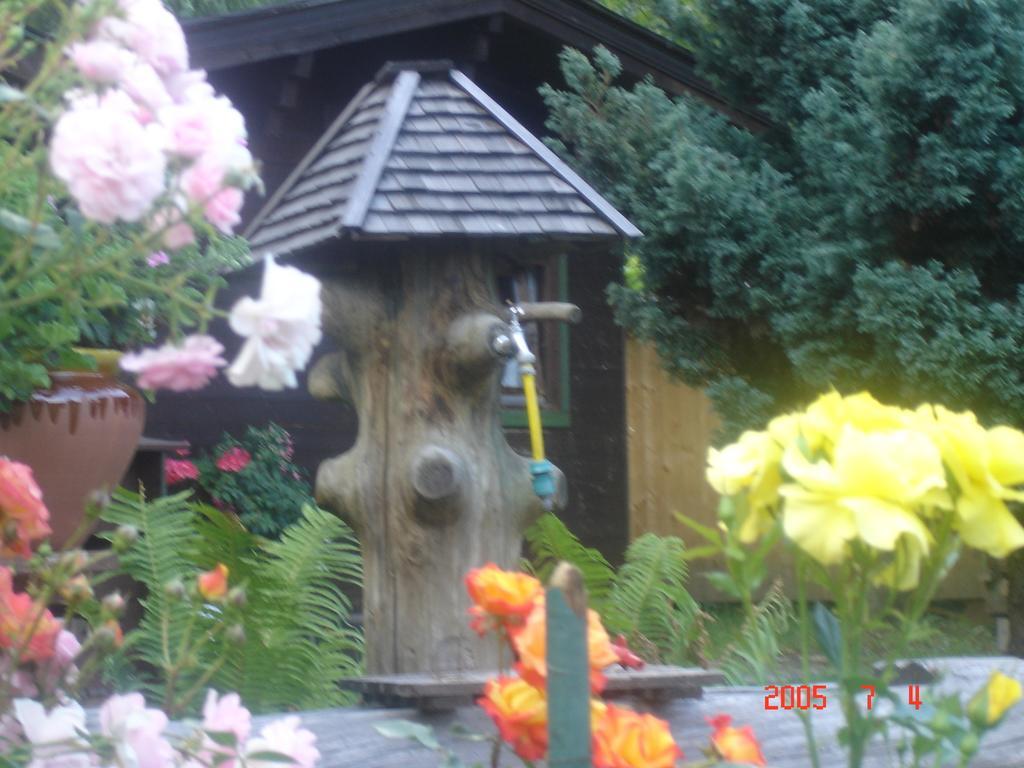 Gasthof Pichler Bruck an der Mur Exterior foto